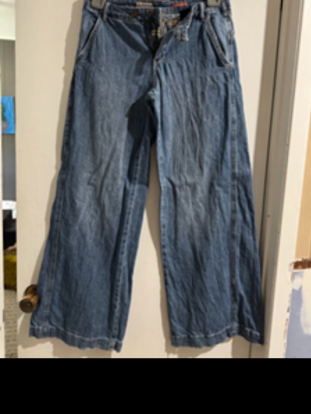 Pilcro Anthropologie Wide Leg Jeans Size 28 Light Wash Cropped